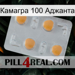 Камагра 100 Аджанта 24